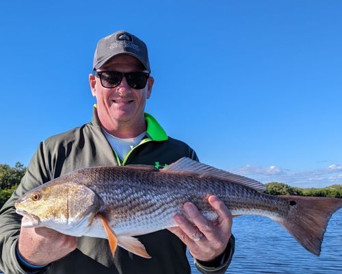 Crystal River Fishing Charters | Private Morning 5-Hour Scallop Charter Trip